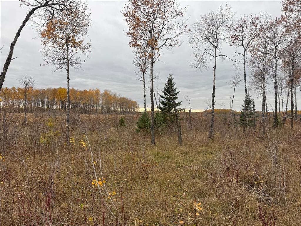 12031 State 64 Akeley MN 56433 6806529 image8