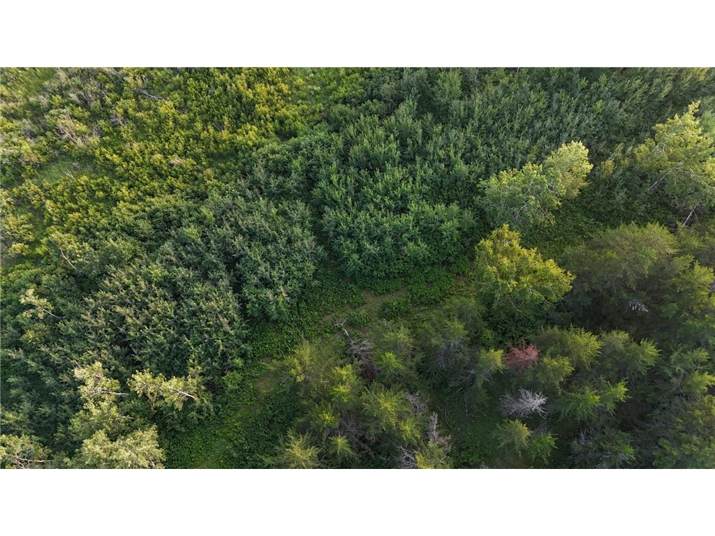 12031 State 64 Akeley MN 56433 6806529 image9