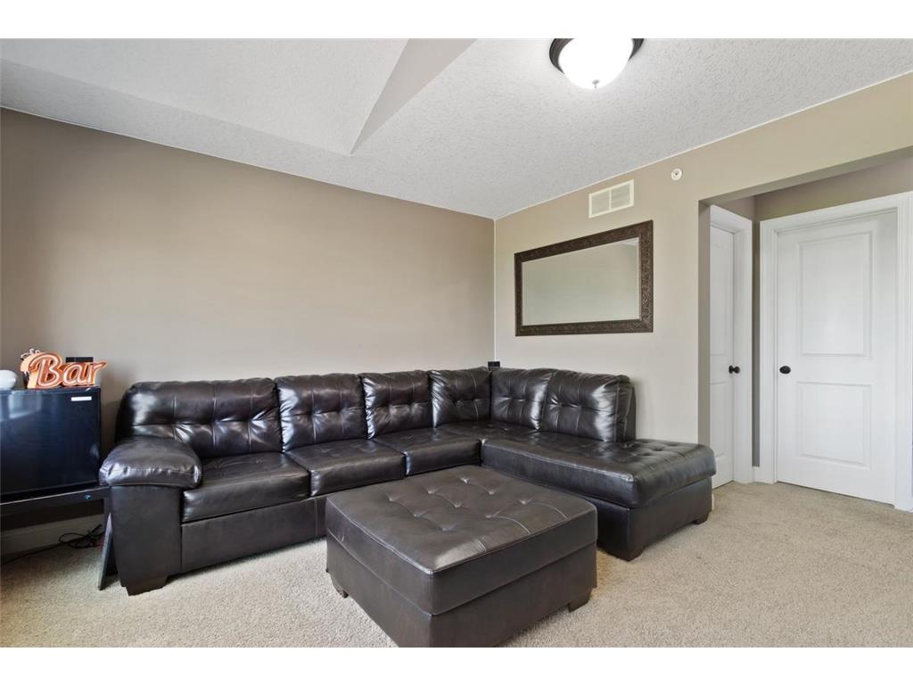 12037 84th Way N Maple Grove MN 55369 7082953 image15