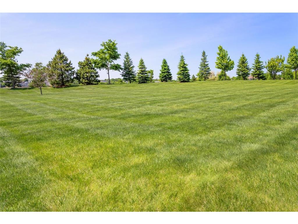 12037 84th Way N Maple Grove MN 55369 7082953 image34