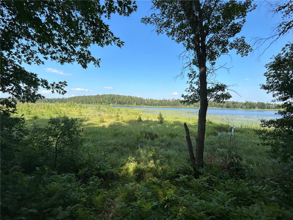 12038 Spring Road SW Pillager MN 56473 - Harlan 6763838 image10