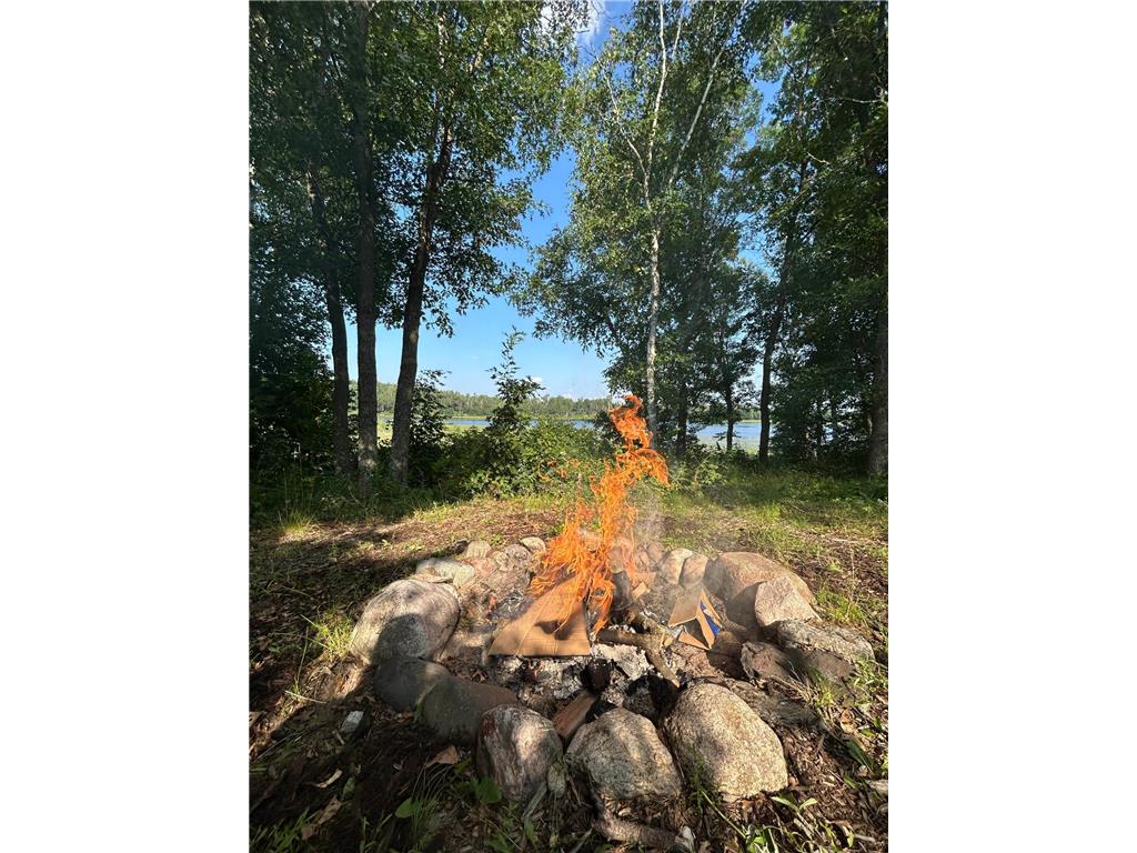 12038 Spring Road SW Pillager MN 56473 - Harlan 6763838 image9