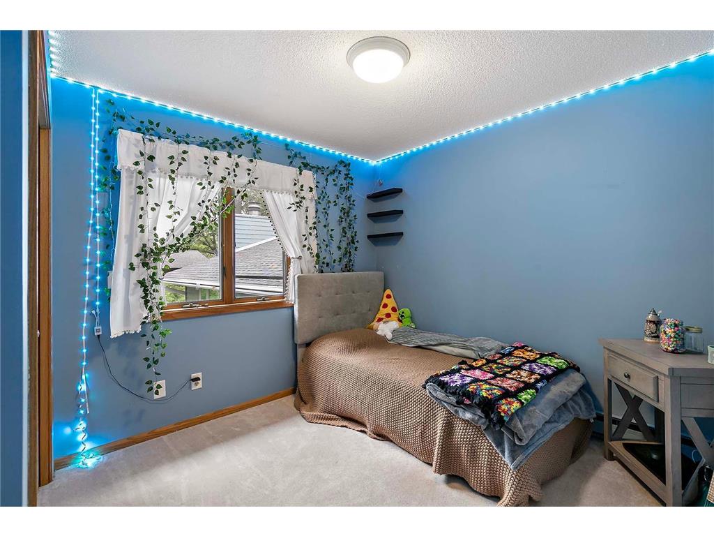 1204 Birch Drive Hudson WI 54016 7084587 image25