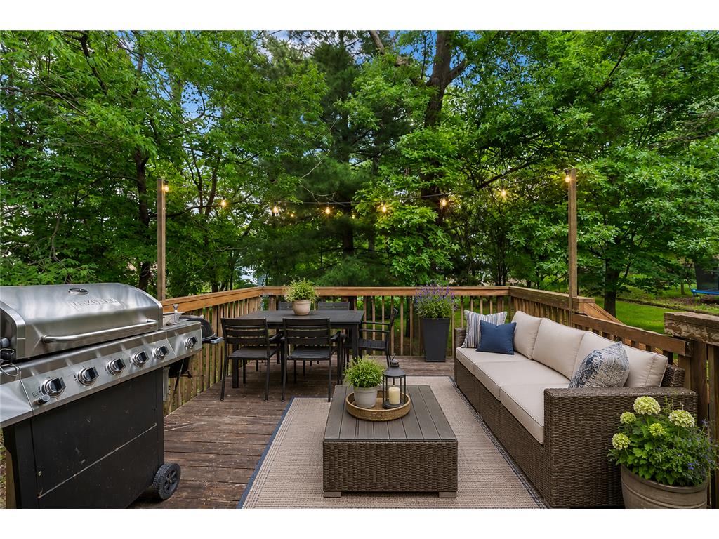 1204 Birch Drive Hudson WI 54016 7084587 image40