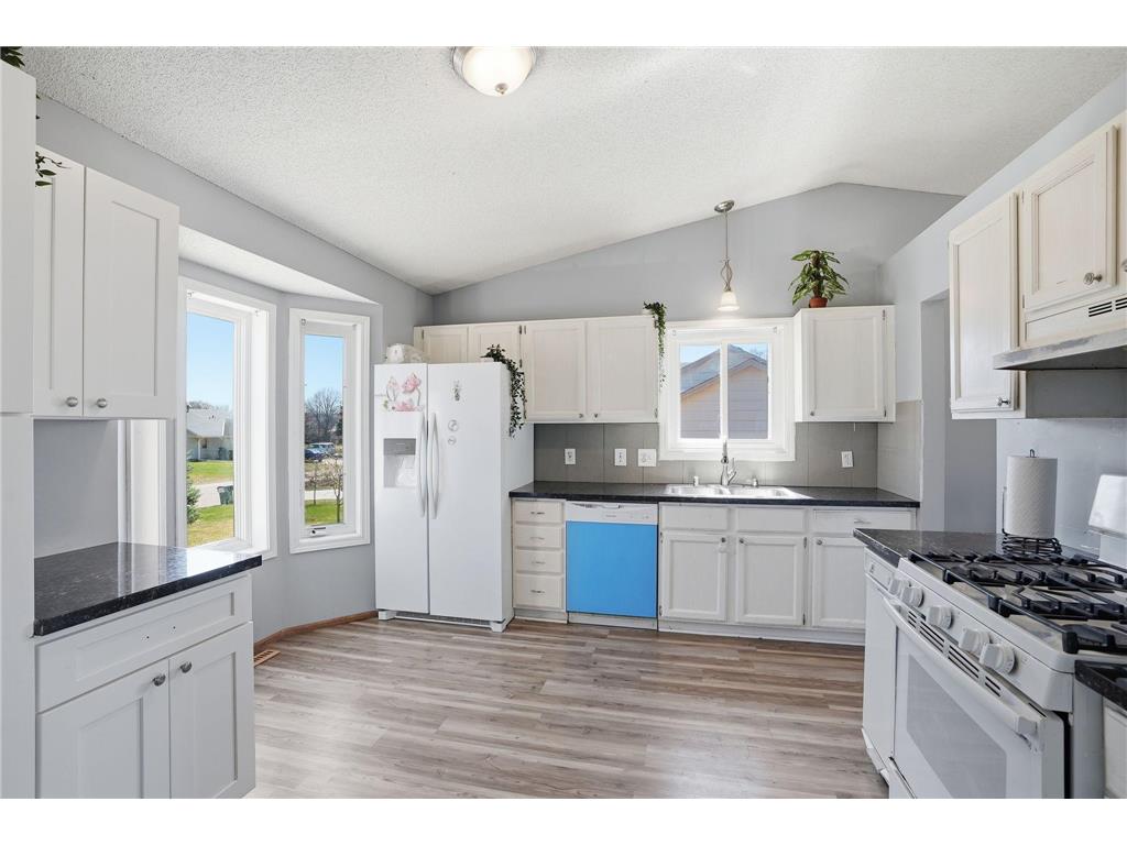 12048 Zea Street NW Coon Rapids MN 55433 7058045 image4