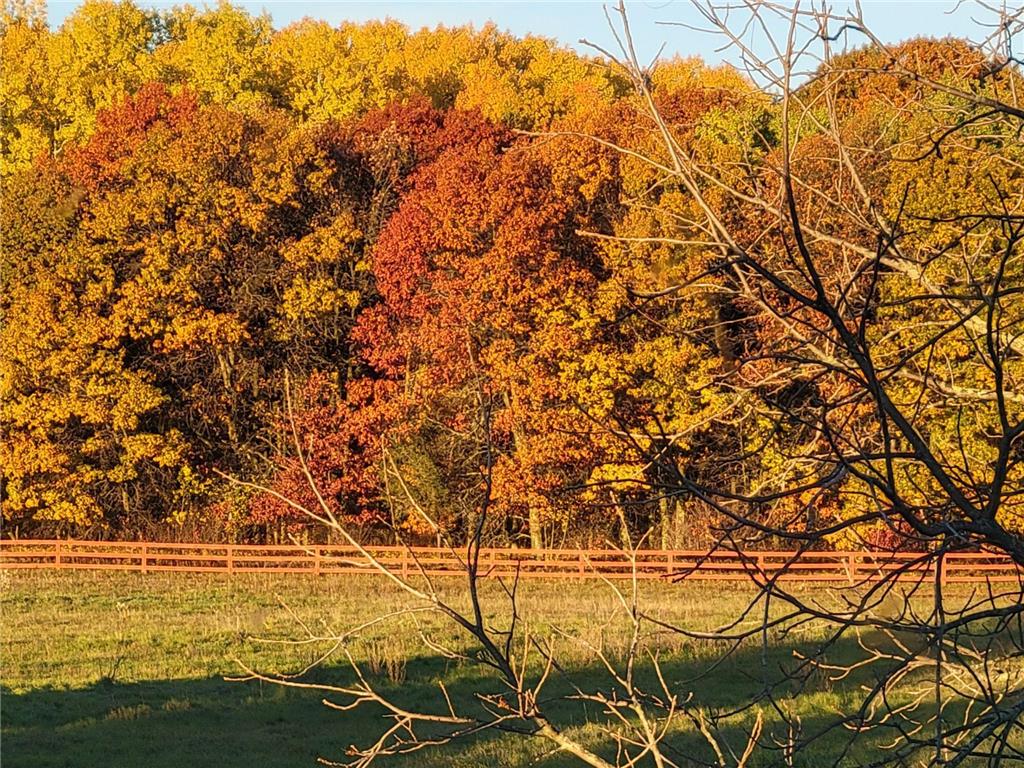 12049 Firefly Lane Brainerd MN 56401 6812065 image3