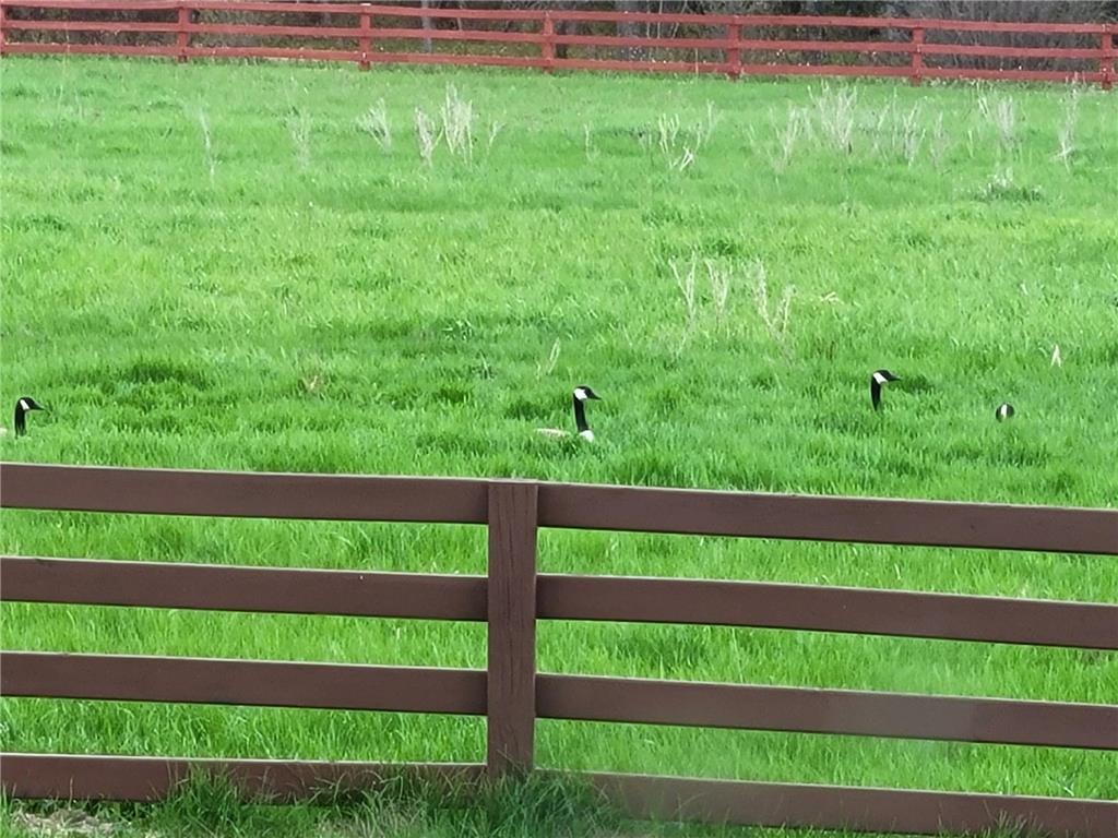 12049 Firefly Lane Brainerd MN 56401 6812065 image4