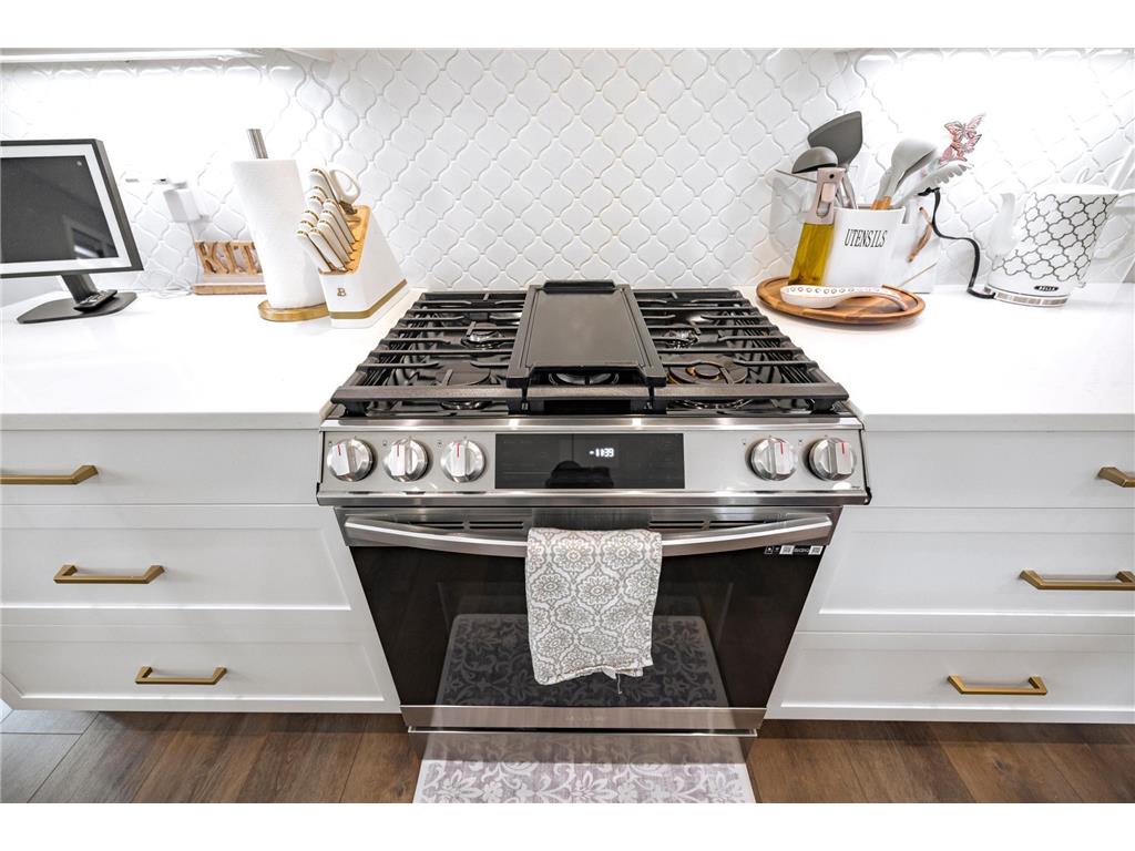 1205 Skyview Circle NW Cascade Twp MN 55901 7031116 image11