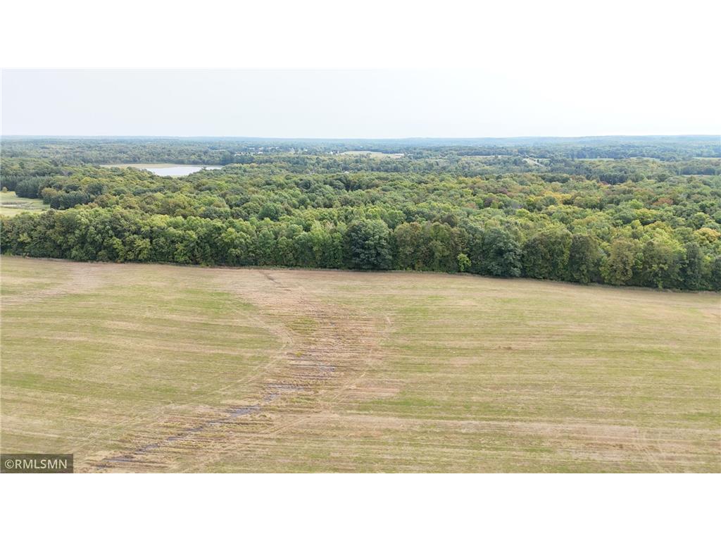 12050 M Y Road Trade Lake WI 54840 6785066 image44