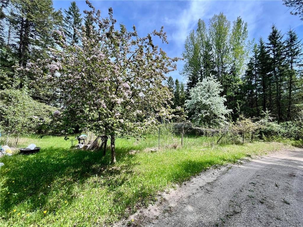1206 E Ottum Avenue Bigfork Twp MN 56628 7073962 image9