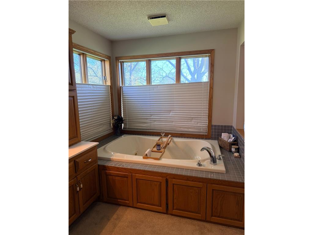 1206 Riverview Court Sauk Rapids MN 56379 7067175 image15