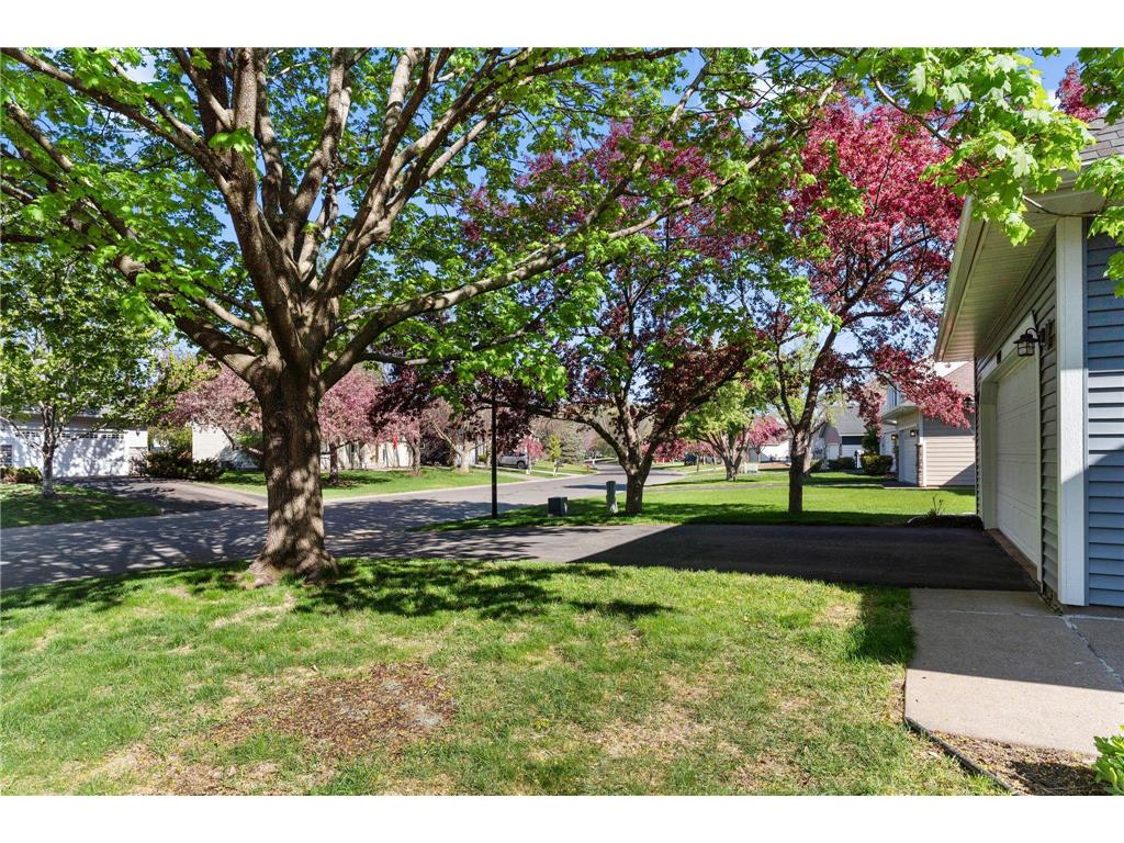 1207 Silverwood Road Woodbury MN 55125 7090561 image43