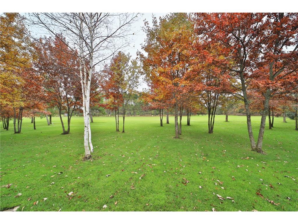 12075 Blueberry Loop #28 Menahga MN 56464 6804438 image60