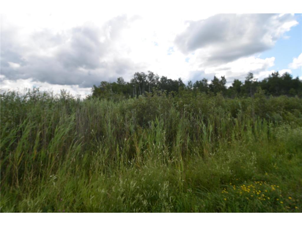 12084 County Road 144 Brainerd MN 56401 6738432 image33