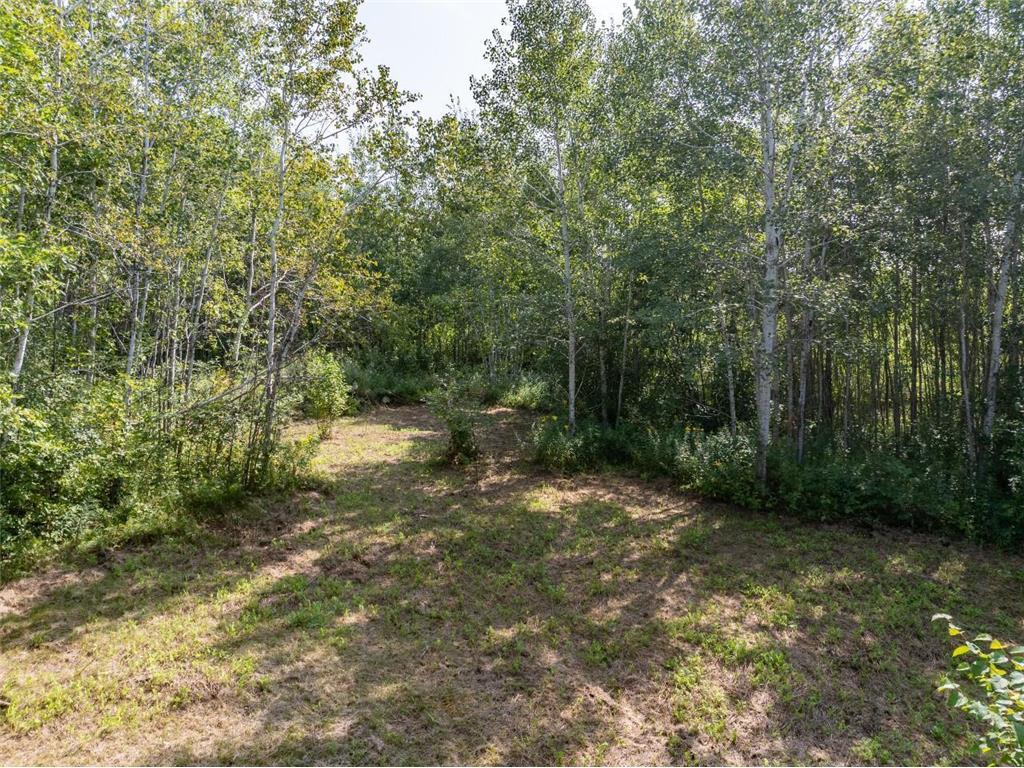 12084 County Road 144 Brainerd MN 56401 6738432 image7