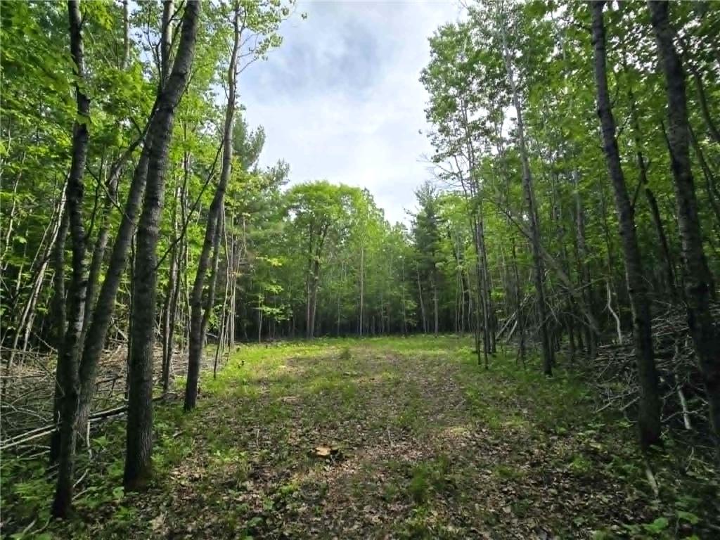 12085 State 371 NW Laporte MN 56461 7084736 image12