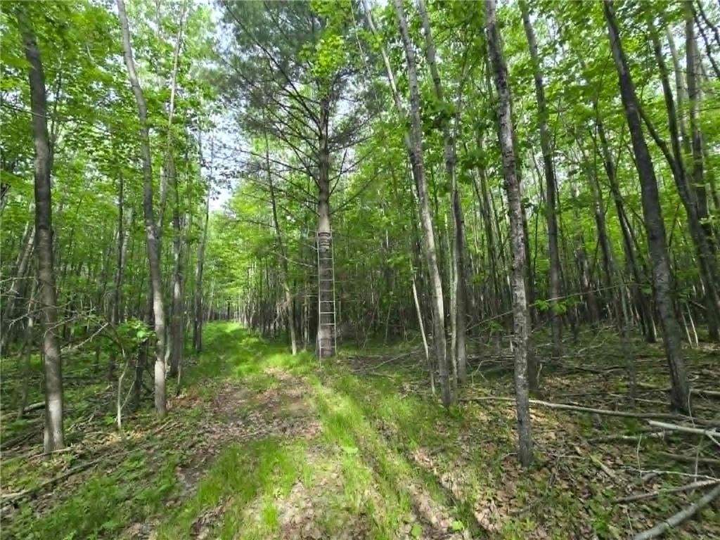 12085 State 371 NW Laporte MN 56461 7084736 image23
