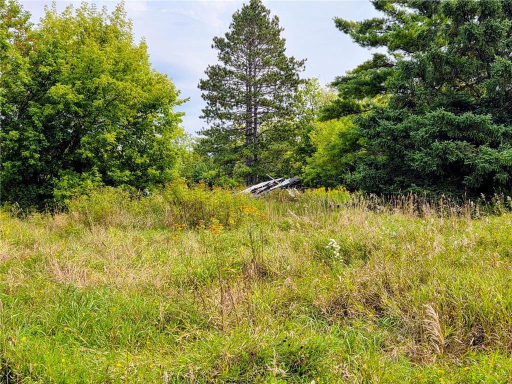 12096 Ramsey Street South Koochiching Unorg. Terr. MN 56661 7007486 image2