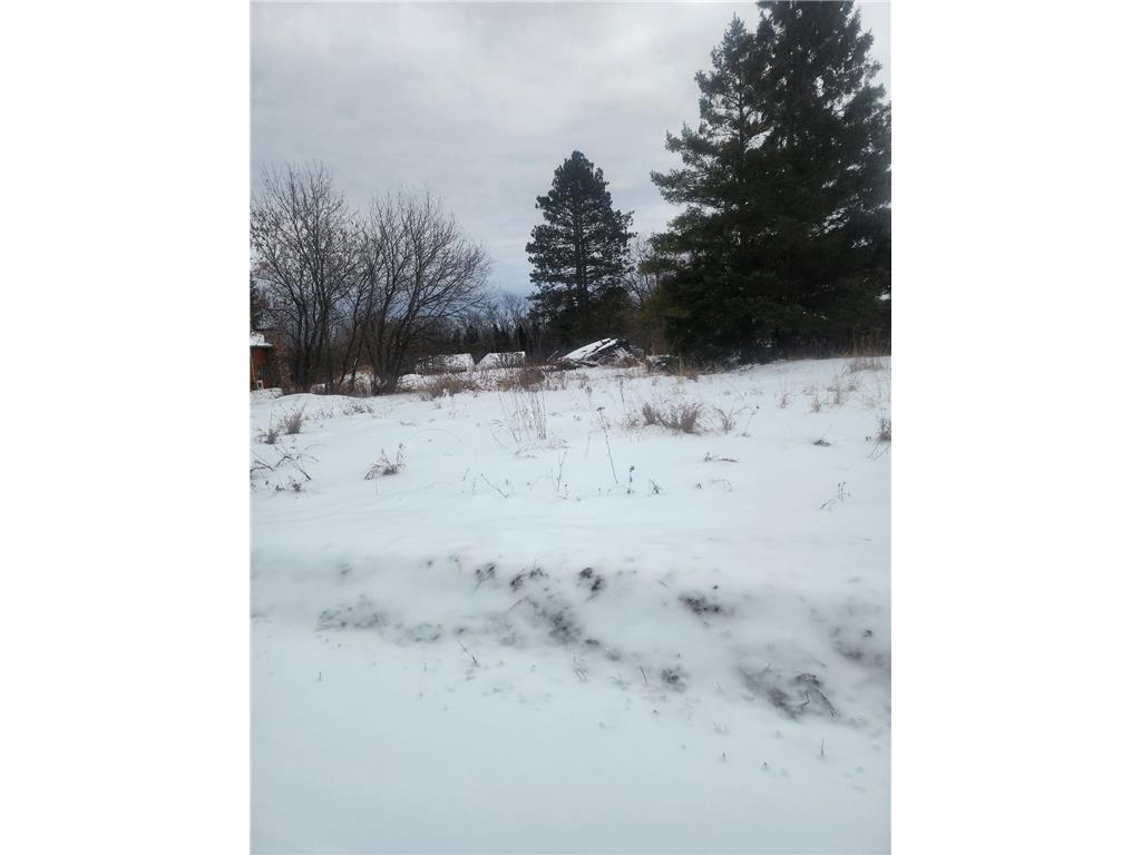 12096 Ramsey Street South Koochiching Unorg. Terr. MN 56661 7007486 image3