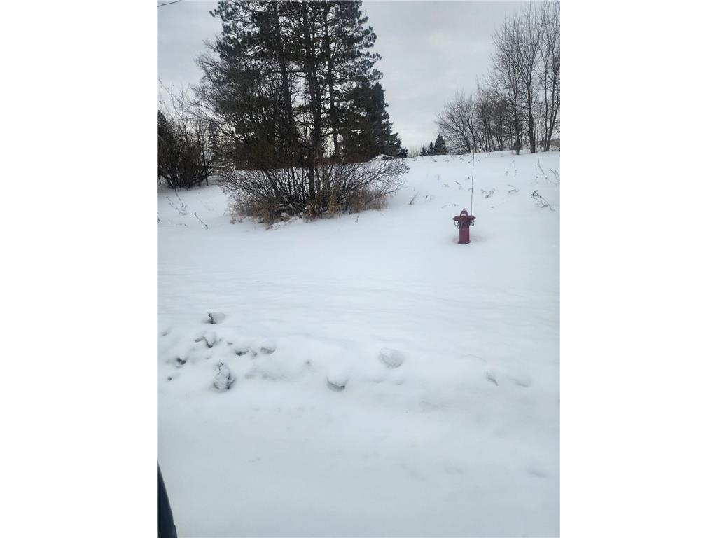 12096 Ramsey Street South Koochiching Unorg. Terr. MN 56661 7007486 image4