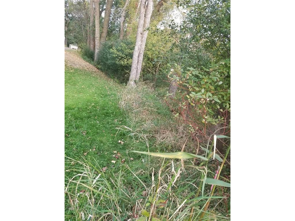 120XX Everton Avenue N Hugo MN 55038 - Bald Eagle 7024369 image22