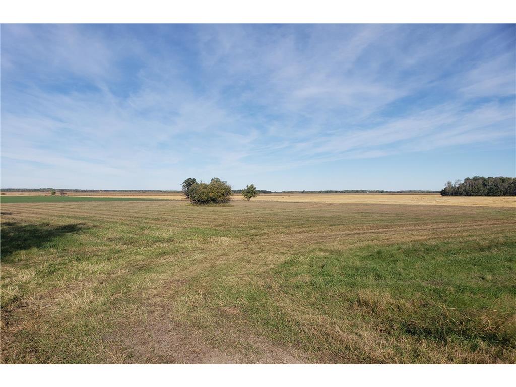 120th Ave Thief River Falls MN 56701 6457490 image1