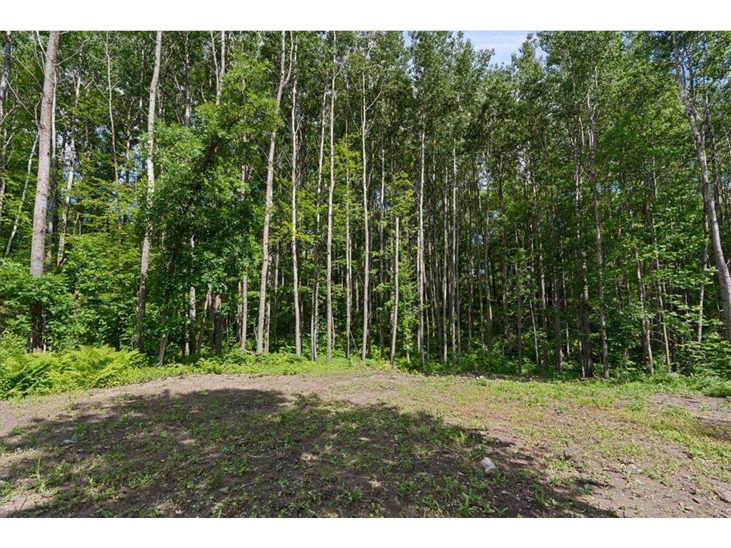 121 Ridgeway Path Walker MN 56484 7097200 image30