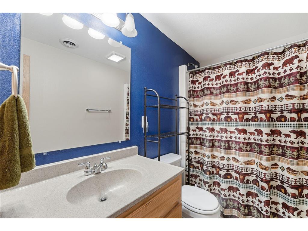 121 Shire Road N Watkins MN 55389 7095530 image21