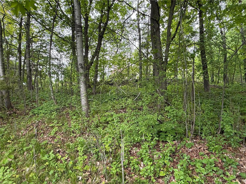 121 W Buffalo Street Duluth MN 55811 7085010 image36