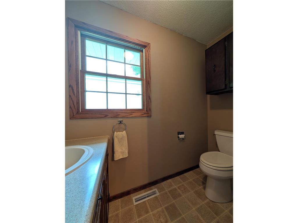 121 W Rowena Street Ivanhoe MN 56142 7005809 image15