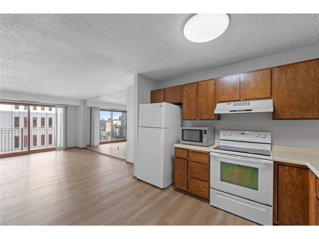 121 Washington Avenue S #1007 Minneapolis MN 55401 6819065 image1