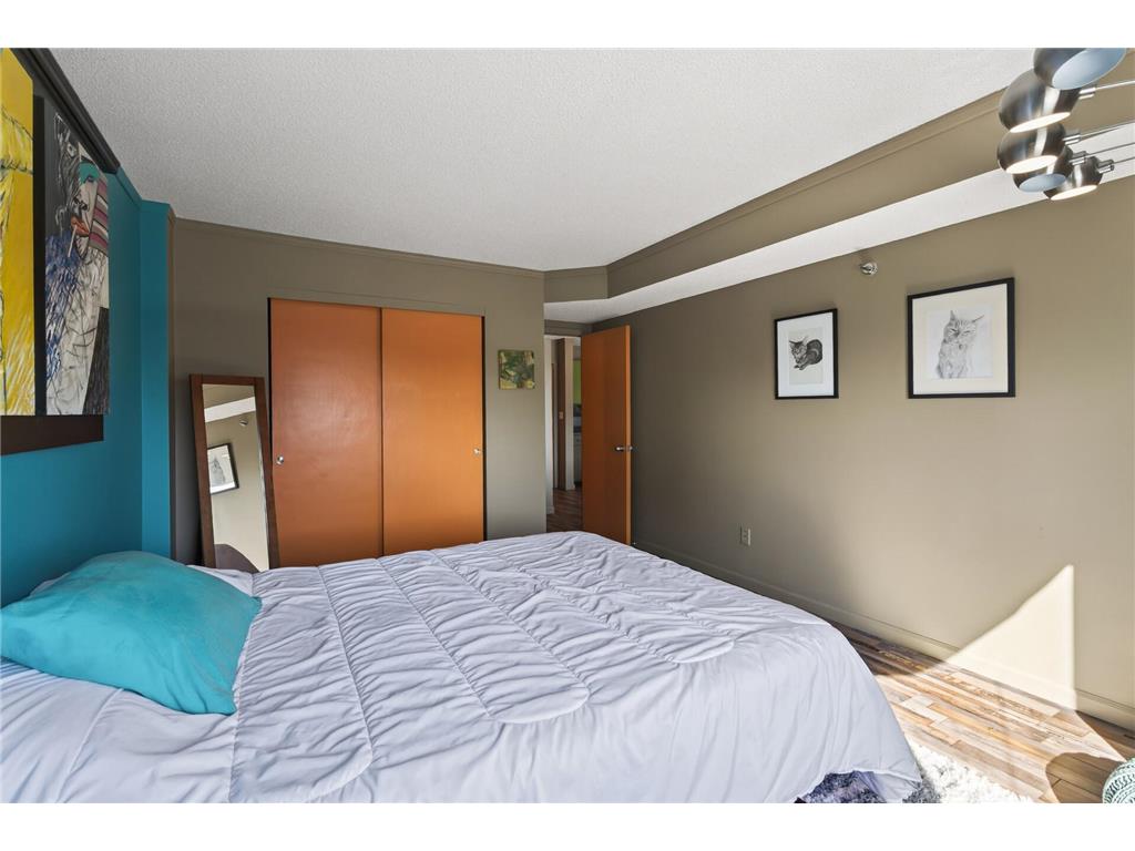 121 Washington Avenue S #1010 Minneapolis MN 55401 7017296 image28