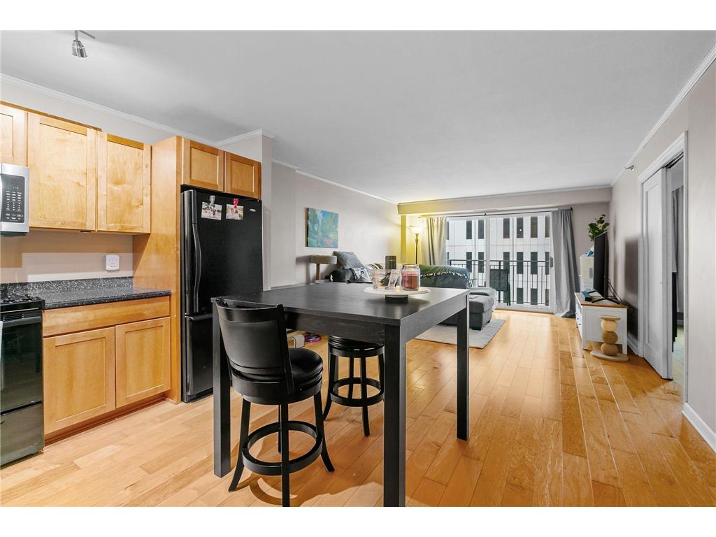 121 Washington Avenue S #1213 Minneapolis MN 55401 6681071 image1