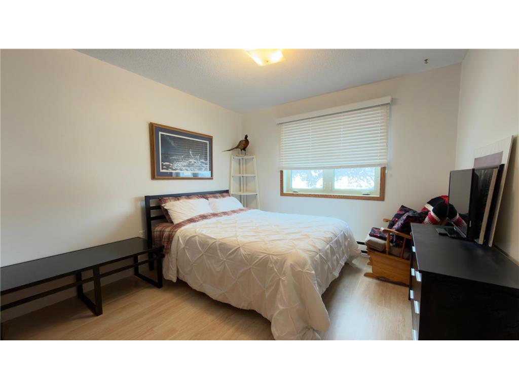 1210 Long Avenue #202 Detroit Lakes MN 56501 6768065 image16