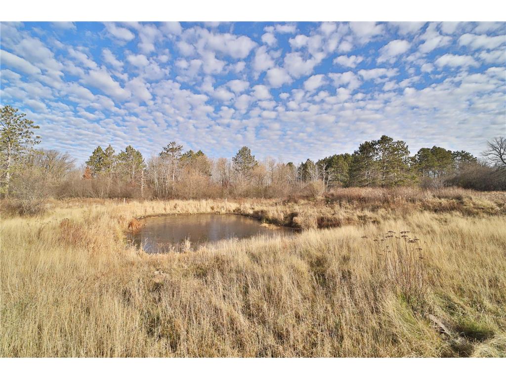 12108 Oakridge Road Brainerd MN 56401 7031976 image61