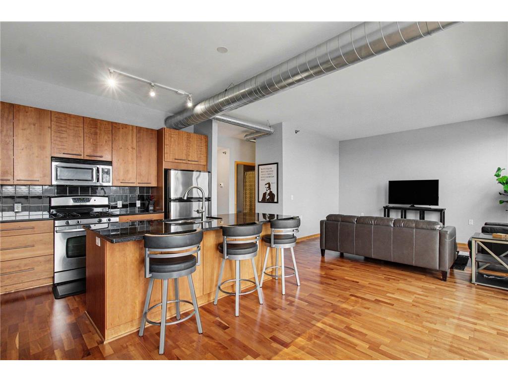 1211 Lagoon Avenue #410 Minneapolis MN 55408 7055795 image2