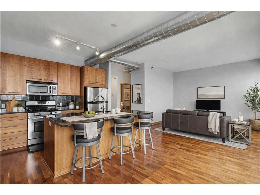 1211 Lagoon Avenue #410 Minneapolis MN 55408 7055795 image5