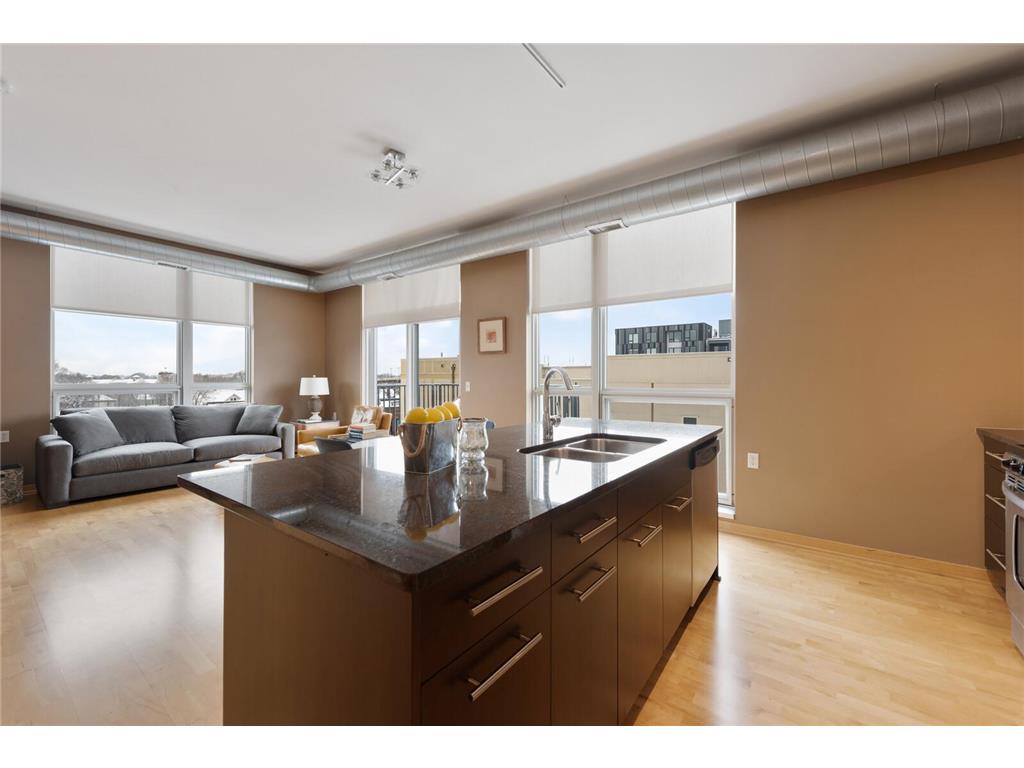 1211 Lagoon Avenue #508 Minneapolis MN 55408 6782402 image16