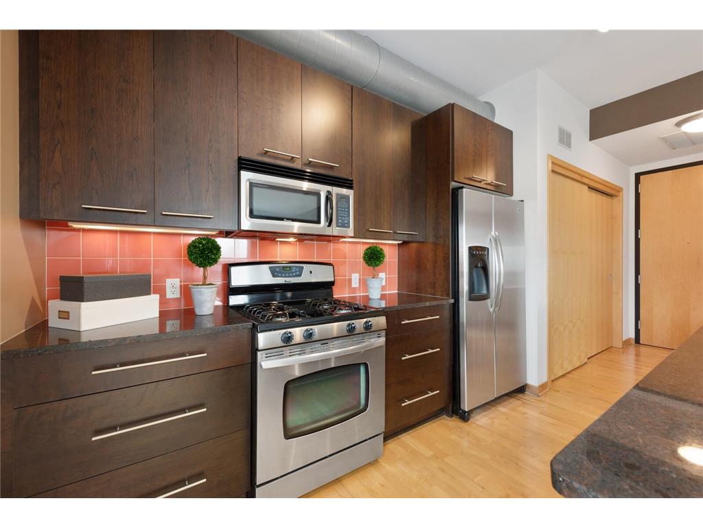 1211 Lagoon Avenue #508 Minneapolis MN 55408 6782402 image8