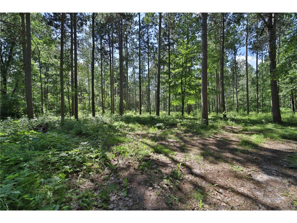12112 Executive Acres Road Brainerd MN 56401 6459619 image1