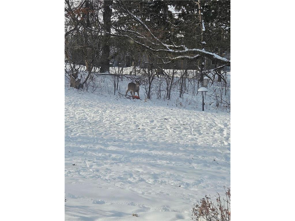 12118 Bluebird Circle NW Coon Rapids MN 55448 7013922 image22