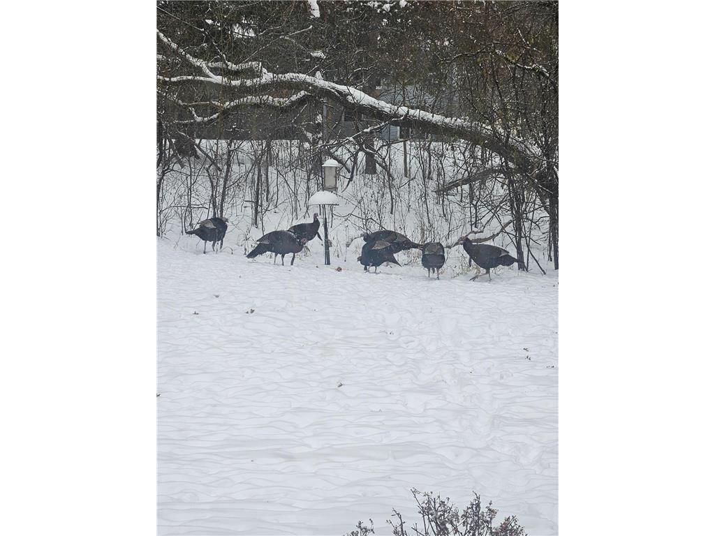 12118 Bluebird Circle NW Coon Rapids MN 55448 7013922 image23