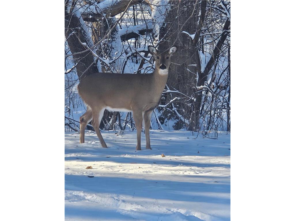 12118 Bluebird Circle NW Coon Rapids MN 55448 7013922 image24