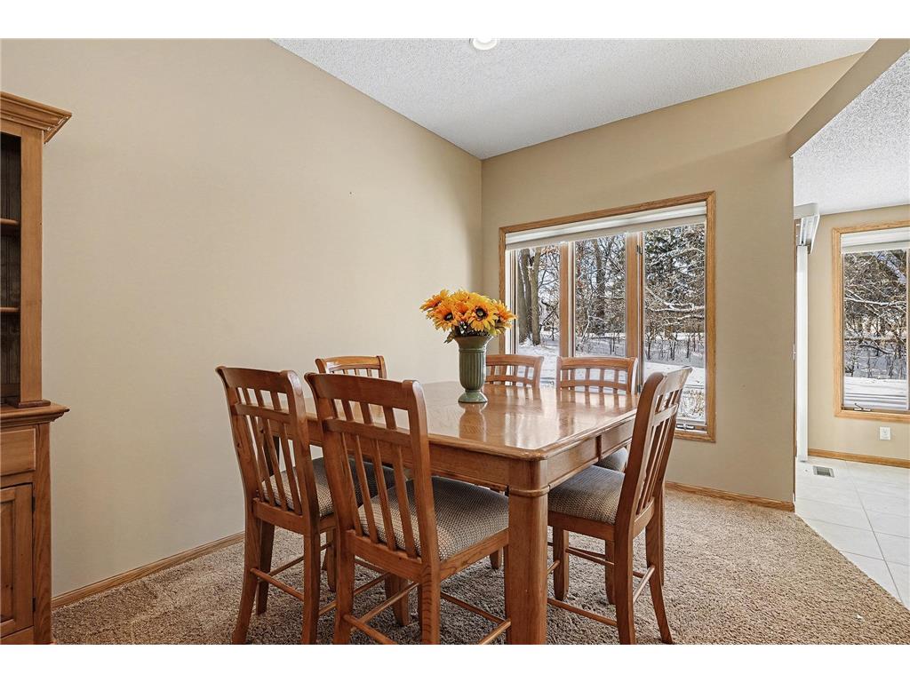 12118 Bluebird Circle NW Coon Rapids MN 55448 7013922 image8