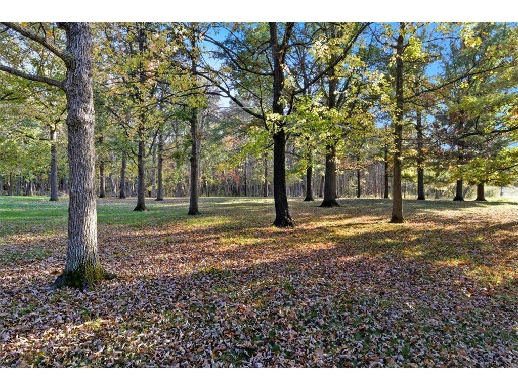 12128 County Road 30 Staples MN 56479 6817176 image5