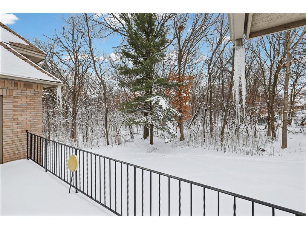 12137 Grandview Terrace Apple Valley MN 55124 7051237 image75