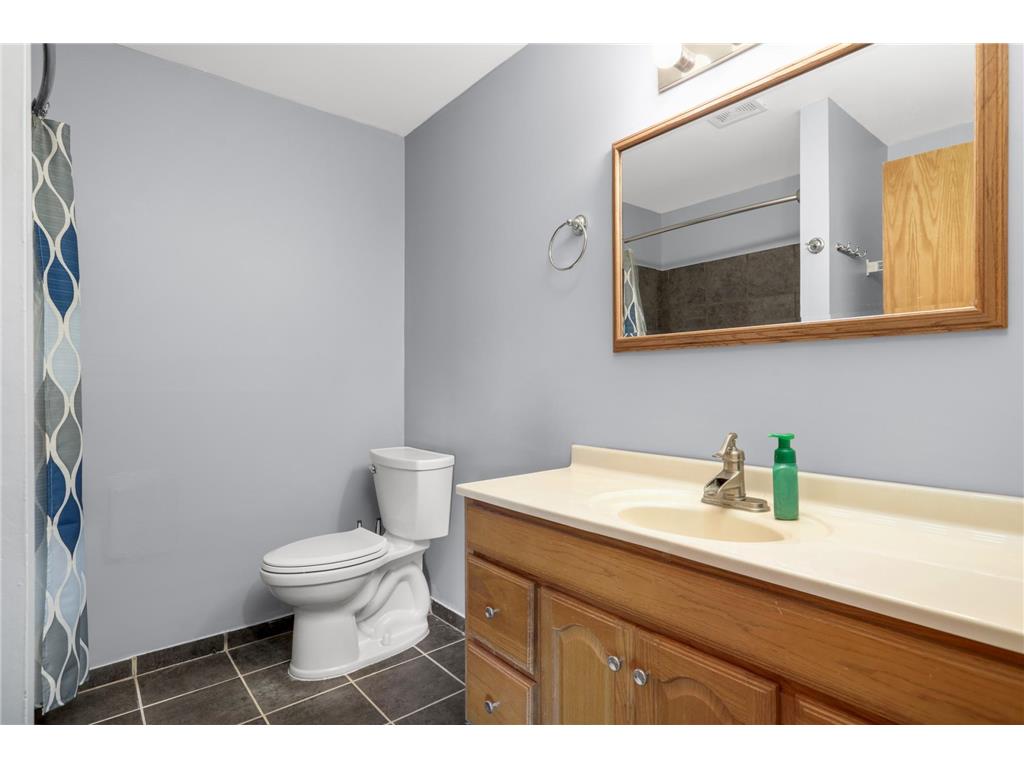 1214 Leo Lane Buffalo MN 55313 7073728 image24