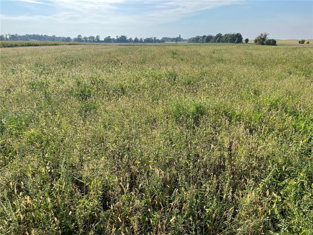 12148 400th Street Bertha Twp MN 56446 6431008 image1