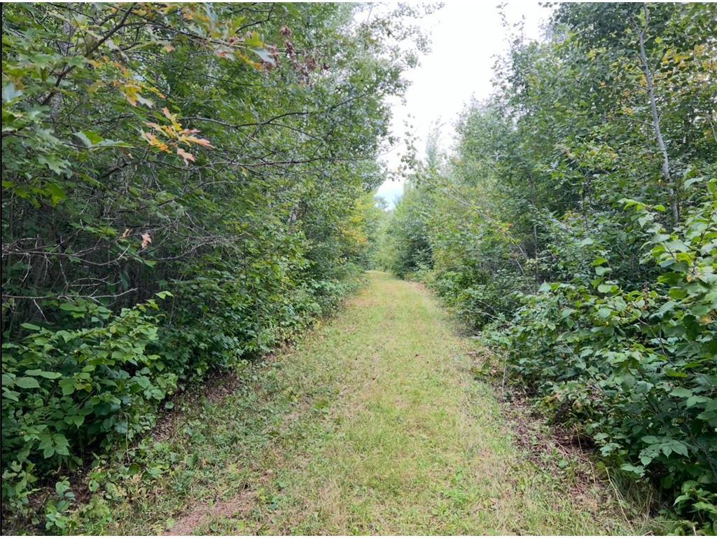 12157 Butternut Road Brainerd MN 56401 7085646 image18