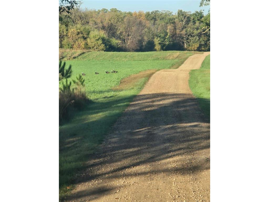 12157 County Highway 79 Parkers Prairie MN 56361 - Fish Lake 7024719 image9